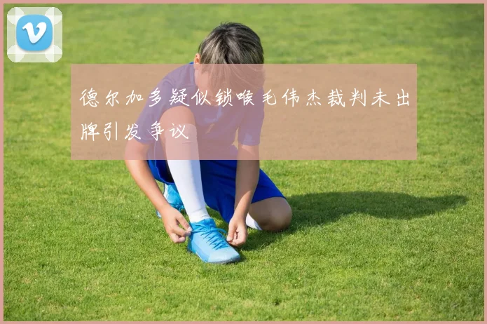 德尔加多疑似锁喉毛伟杰裁判未出牌引发争议