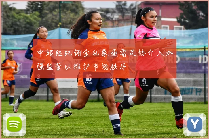 中超经纪佣金乱象亟需足协介入加强监管以维护市场秩序
