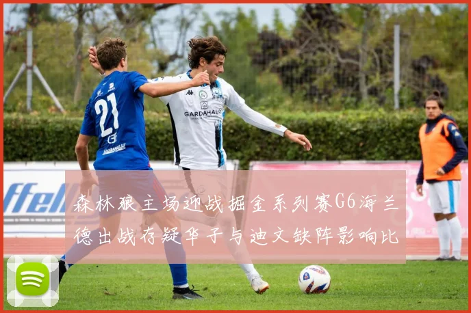 森林狼主场迎战掘金系列赛G6海兰德出战存疑华子与迪文缺阵影响比赛走势